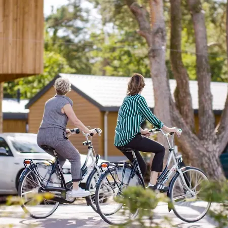 Holiday home Holiday Europarcs De Wije Werelt-6 *